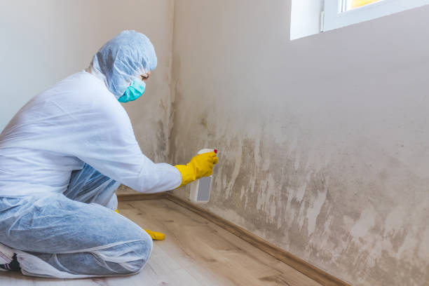 Asbestos and Lead Testing During Mold Inspection in Logan, IA